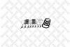 STELLOX 85-10876-SX Brake Shoe Pin Set